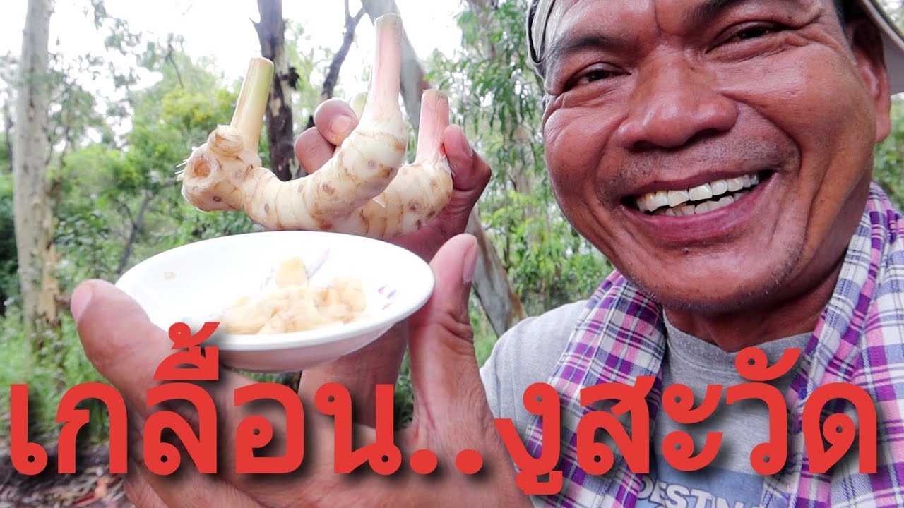 สมุนไพรรักษาเกลื้อนให้หายขาด | ขี้ กลาก ขี้ เกลื้อนข้อมูลที่เกี่ยวข้อง ... สมุนไพรรักษาเกลื้อนให้หายขาด | ขี้ กลาก ขี้ เกลื้อนข้อมูลที่เกี่ยวข้อง ...