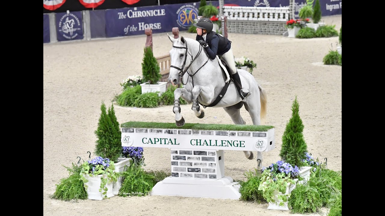 Carcharodon - 2024 USHJA Jumping Seat Medal Finals at Capital Challenge Horse Show