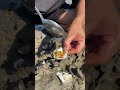 Don't Eat Oyster A lot Just A little If You Lock Solo On Island #100kview #oyster