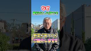 Vegetables can be grown without fertilizer in home gardens and