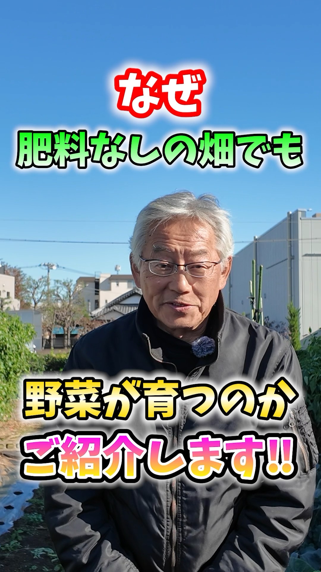 Vegetables can be grown without fertilizer in home gardens and