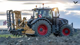 🌅 Fendt 720 Vario Black Beauty all’ALBA | Fresatura con Alpego DP 500 🚜🔥