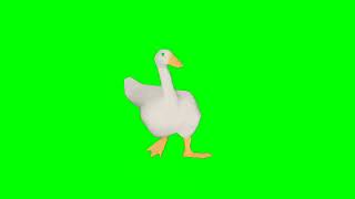 Pato Dançando Chroma Key 360P Com Aúdio Hehe
