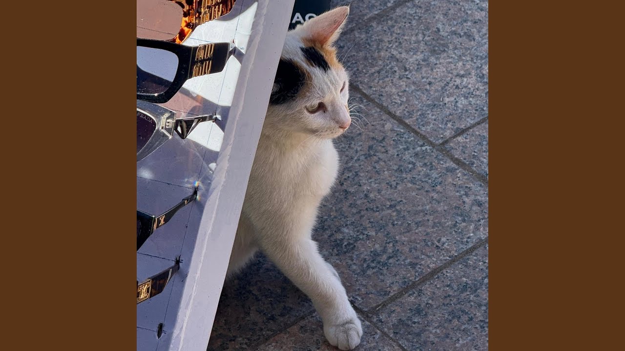 Watch Marrakesh on YouTube Watch Marrakesh on YouTube