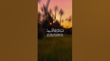 قالوا من فعل هذا بألهتنا 🌤️📻🔊 القارىء #ياسر_الدوسري #quran #اكسبلور #quran #تلاوات #تلاوة_خاشعة