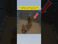 FPV Drone Reportedly Targets Iron Dome Launcher #IronDome #DroneWarfare #FPVDrone