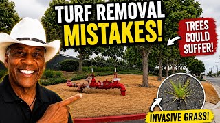 Hidden Problems With Turf Removal Projects!