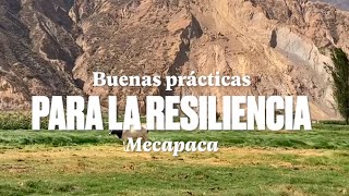 Buenas prácticas para la resiliencia