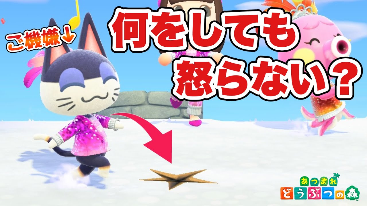 【あつ森】カーニバルでご機嫌なら何をされても怒らないんじゃない？【あつまれどうぶつの森 検証】