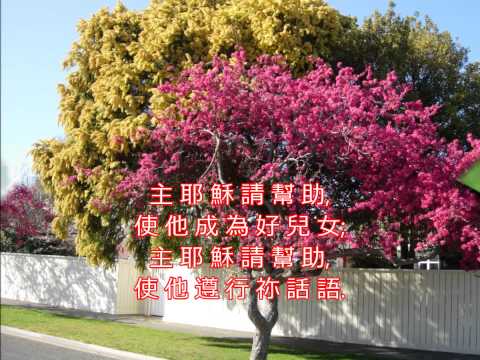 睡前代禱