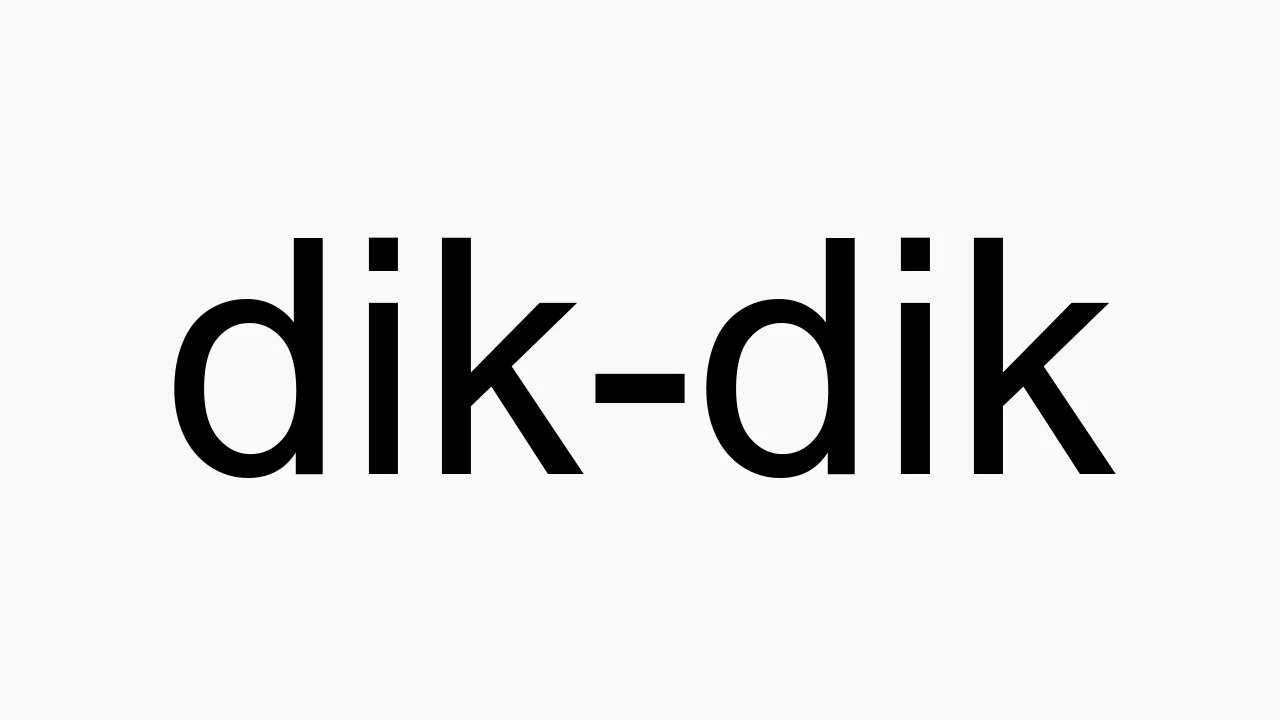How to pronounce dikdik YouTube