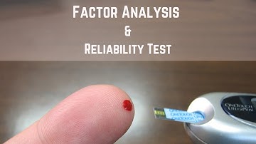 Part 5: Factor Analysis and Reliability Test