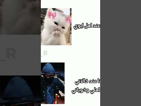 ٤ أغسطس ٢٠٢٥