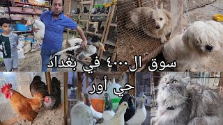 سوق ال ٤٠٠٠ الساحة  حي أور انواع الطيور والحيوانات الغريبة اليوم الأربعاء 2023/3/15