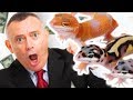 BECOME A MILLIONAIRE BREEDING LEOPARD GECKOS!!! SnakeBytesTV