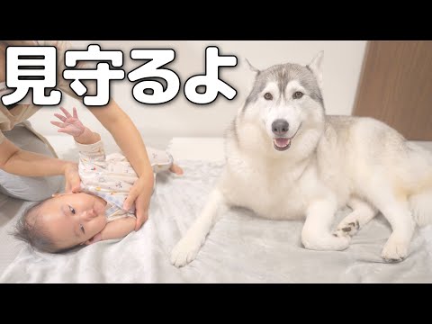 もんちゃんっていうよ。 - YouTube
