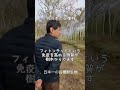 上祐史浩の聖地巡りin八千穂高原：日本一美しいとされている白樺群生地