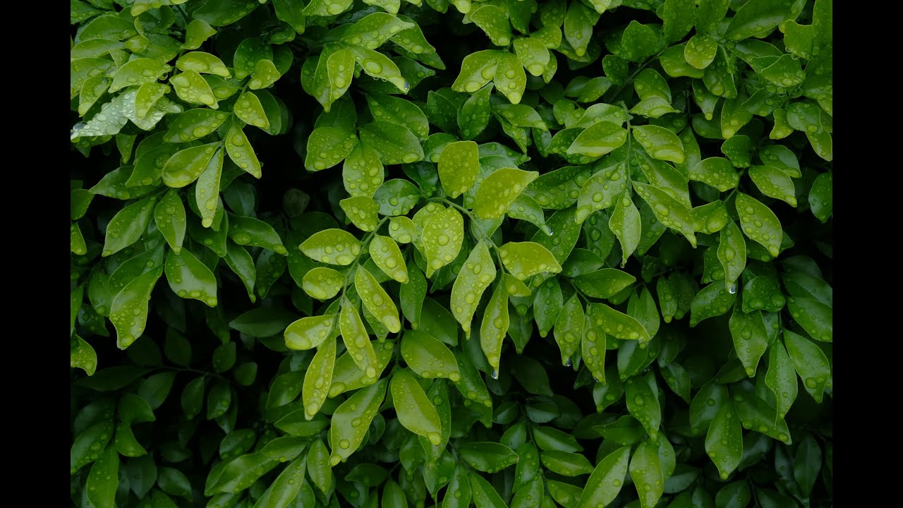 오늘 하루, 마음을 쉬게 하는 잔잔한 음악 스트레스 해소 & 휴식용 #힐링음악 #감성음악 #휴식음악