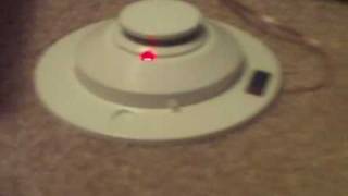 Simplex Test 2