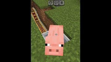 MINECRAFT WORKING SWING! #shorts #minecraft #build