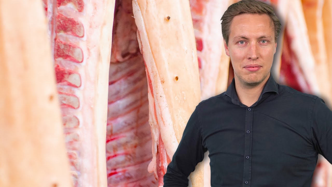 Trendrapport: Correctie varkensprijs geen reden voor paniek