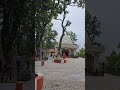 Maa Kamakhya Temple Palpa #goviral #matarani #mata #trending
