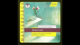 Eine Kleine Nachtmusik 