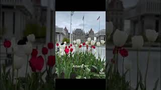 Welcome to Albany NY - Tourist’s Eyes #tiktok