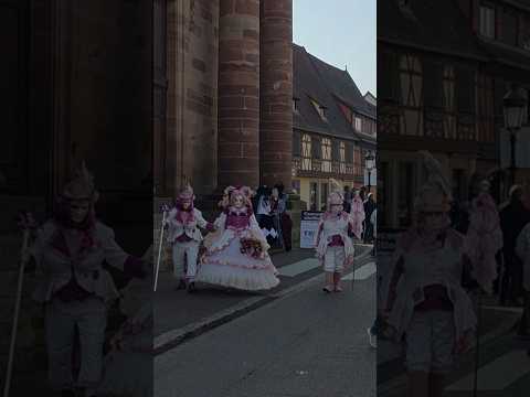 Élégance Viennoise #carnaval #carnaval2026 #spectacle #alsace #balades #decouvrir #love #costume