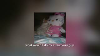 what would I do by strawberry guy (sped up)