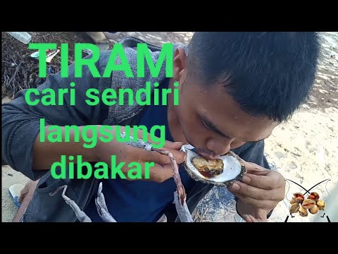 Video: Tiram Di Pelabuhan