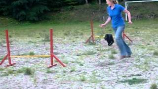 DSCF0759.AVI