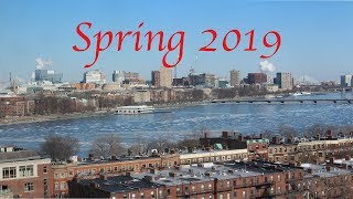 Spring Semester 2019 | Boston University