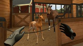 I can't believe a Horse Racing game actually works in VR! screenshot 5