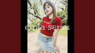 Cinta Semu