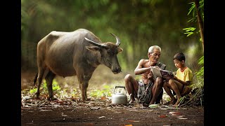 Binji Bonjo mainan tradisional Alias Petak umpet