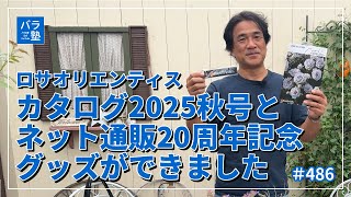 いく 薔薇セット いく 薔薇セット 坂野ガーデンオリジナルローズ | P's SHOP