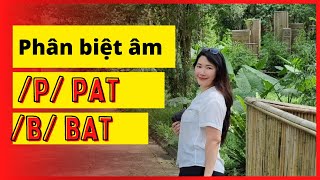 Phát âm tiếng Anh: Phân biệt âm /p/ - /b/