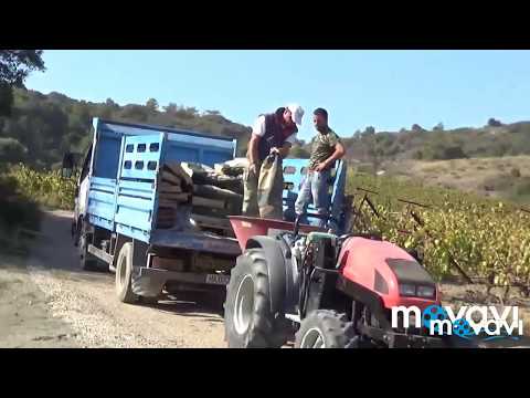 Αμπέλι αττικη+Ατταπουλγίτη.Ενσωμάτωση για