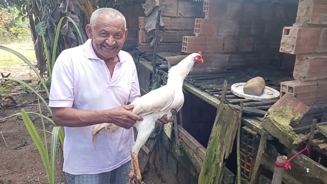 SR. Evaristo o melhor galista do mundo.(1)