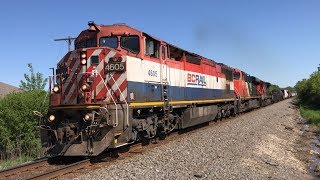BC Rail Barn and CN 15th Anniversary Leaders on the Waukesha Sub 6/2/19