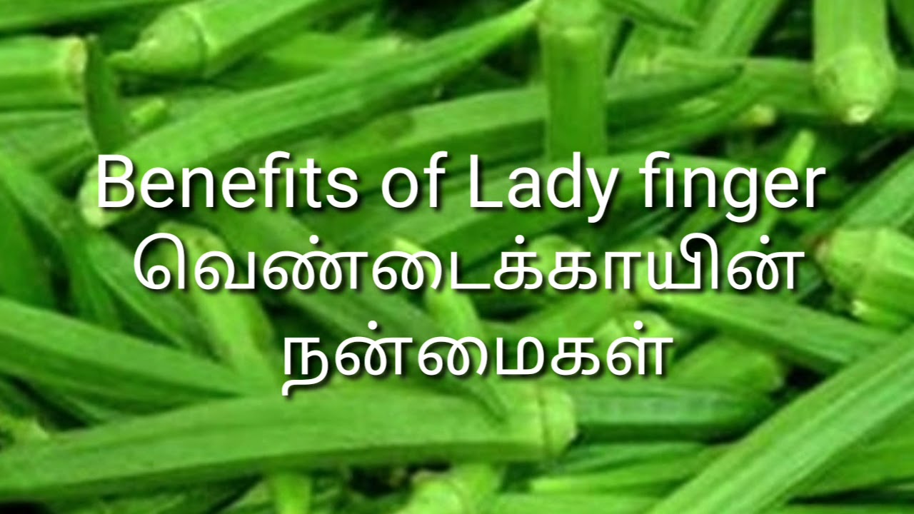 Benefits of Ladyfinger/ வெண்டைக்காயின் நன்மைகள்/English and Tamil YouTube