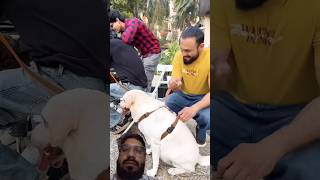 Ye kya ho gaya🤣🤪#short#funnyvideos #comedyvideos #viral #funnymemes #short