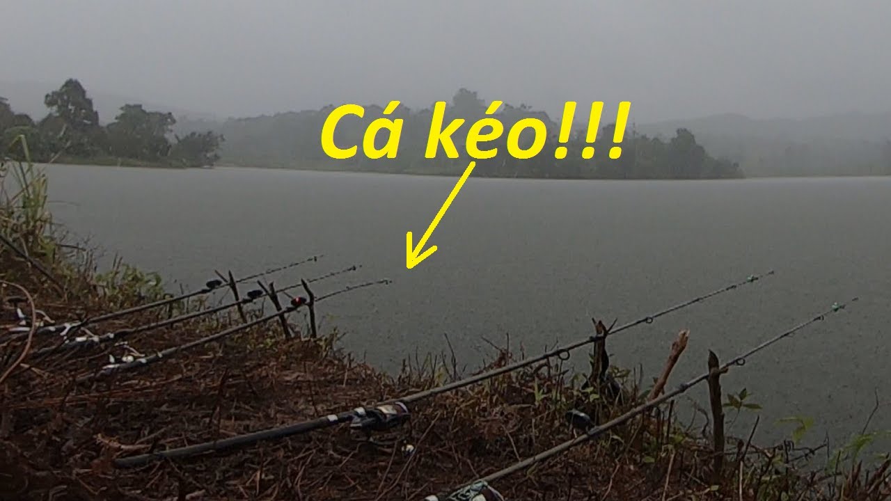 Câu lăng xê săn cá lớn hồ Bulum - Câu cá trong mưa bão số 3 | Tháng 7- 2025