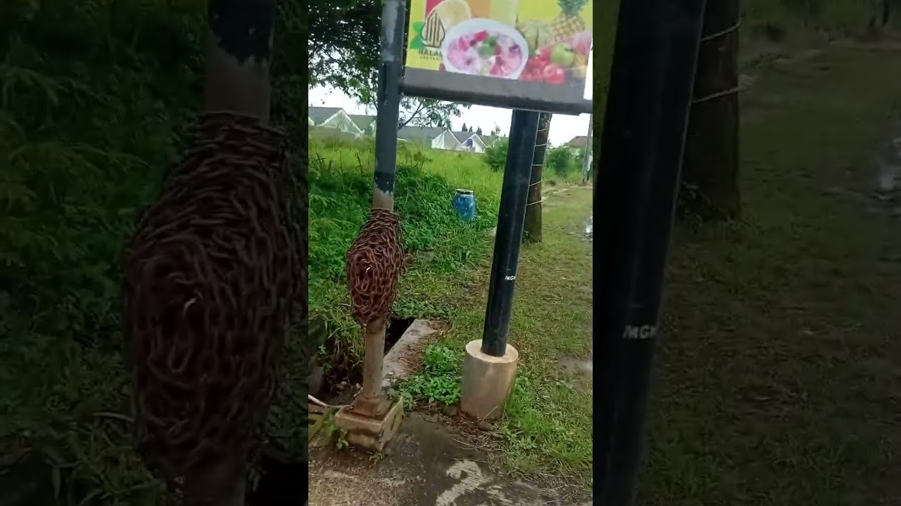 Yarra dehomes season 3 episode 16 