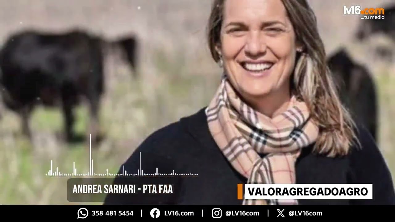 Ganadería: buenos precios, pero campos sin alambrados ni molinos | Andrea Sarnari