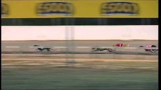 Angle-Park-05022015-Race-6