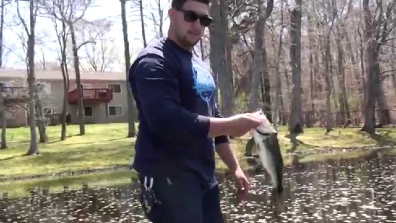 Largemouth Bass Artist LakeFreshwater Fish Long Island YouTube