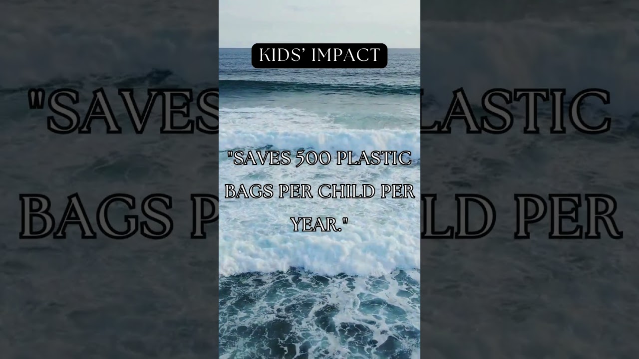 1 Lunchbox = 500 Plastic Bags Saved! 