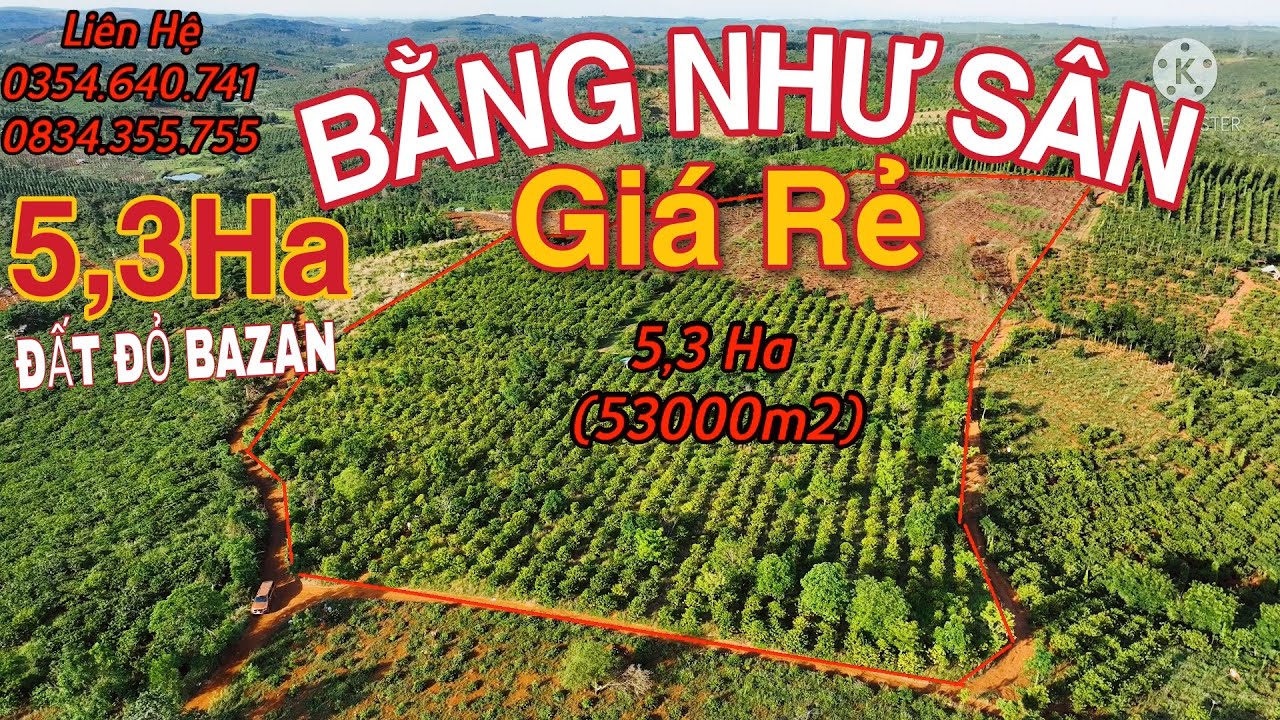 (Đã bán)5,3Ha GIÁ RẺ BẰNG NHƯ SÂN 3 MẶT TIỀN ĐƯỜNG,Đất... - youtube